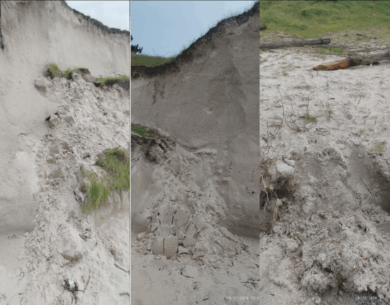 La Asociación ZOA alerta del grave derrumbe de la duna de A Calzoa y pide medidas urgentes al Concello de Vigo
