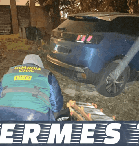 Dos detenidos tras intentar introducir más de 80 kilos de cocaína a través del puerto de Vigo