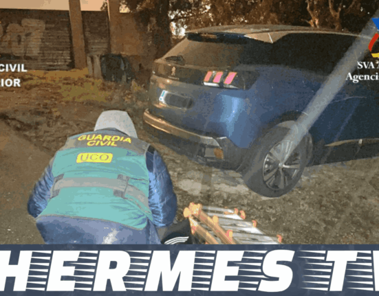 Dos detenidos tras intentar introducir más de 80 kilos de cocaína a través del puerto de Vigo