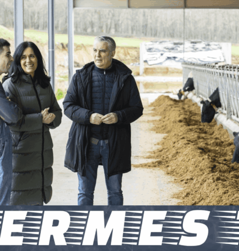 Paula Prado critica la “traición a Galicia” del BNG en Europa con su desprotección de los ganaderos, frente al “sí” del PPdeG a las políticas “justas” con el rural