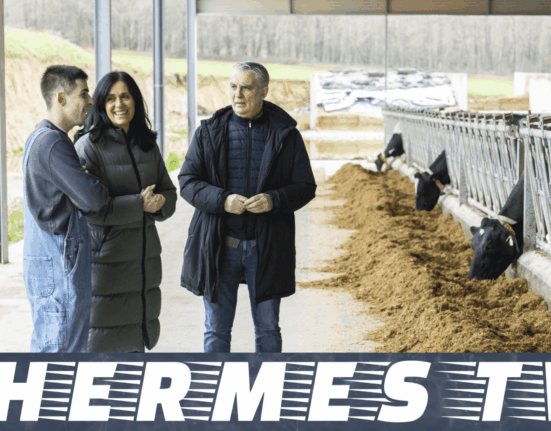 Paula Prado critica la “traición a Galicia” del BNG en Europa con su desprotección de los ganaderos, frente al “sí” del PPdeG a las políticas “justas” con el rural