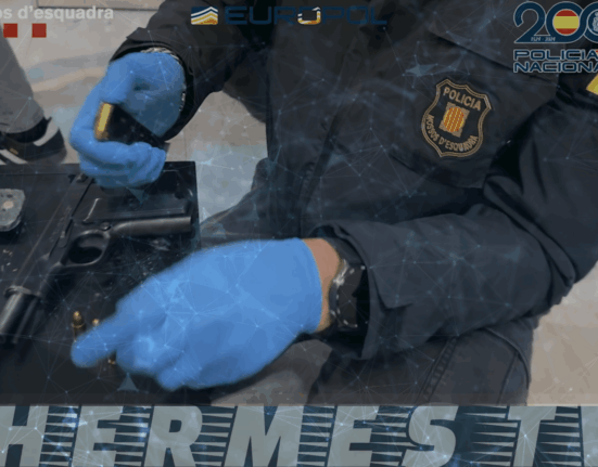 Desarticulada una organización criminal de origen turco dedicada al tráfico de drogas y de armas