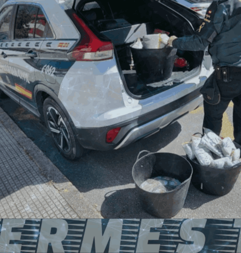 La Guardia Civil de Pontevedra incauta 57 kilos de pulpo ilegal en Bueu