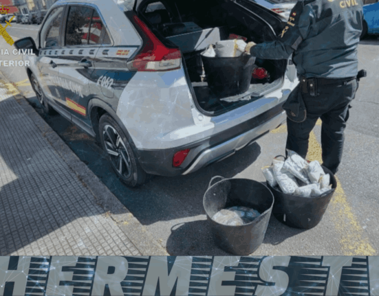 La Guardia Civil de Pontevedra incauta 57 kilos de pulpo ilegal en Bueu