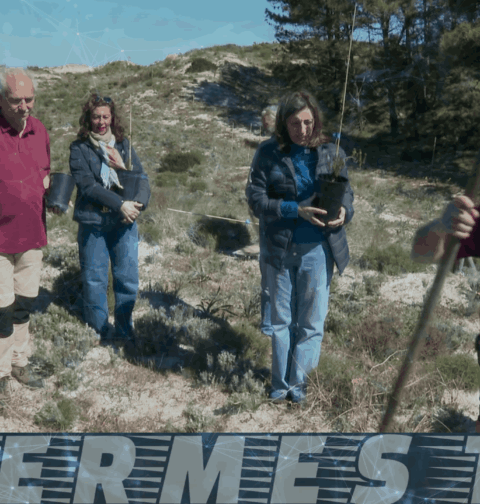 La Xunta pone las 7.000 visitas previstas esta Semana Santa a las Islas Atlánticas como ejemplo del equilibrio entre protección ambiental y uso público del parque nacional