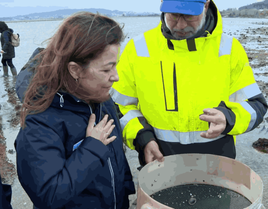 Mar intensifica los muestreos técnicos en los bancos marisqueros afectados por los temporales para la toma de decisiones con el sector