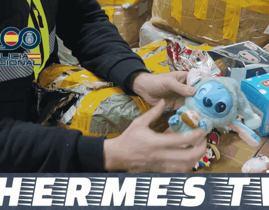 La Policía Nacional incauta más de 600.000 juguetes falsificados de diversas marcas registradas por una conocida plataforma de series y películas