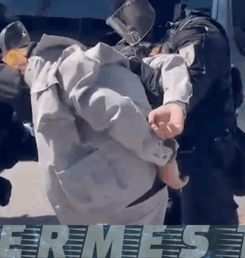 Desarticulado un grupo criminal momentos antes de perpetrar el atraco a un banco en Vigo