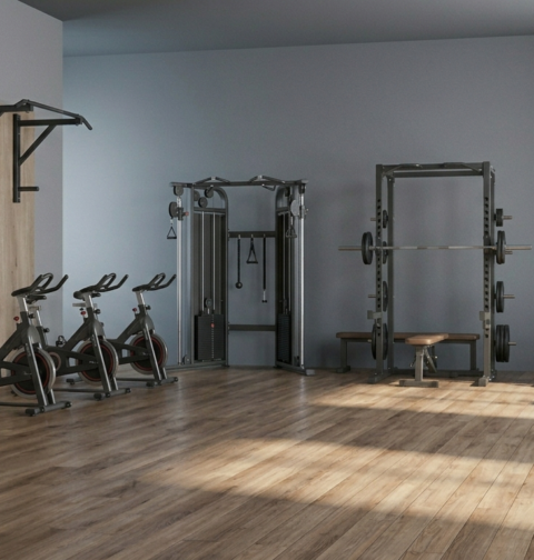 Gimnasio
