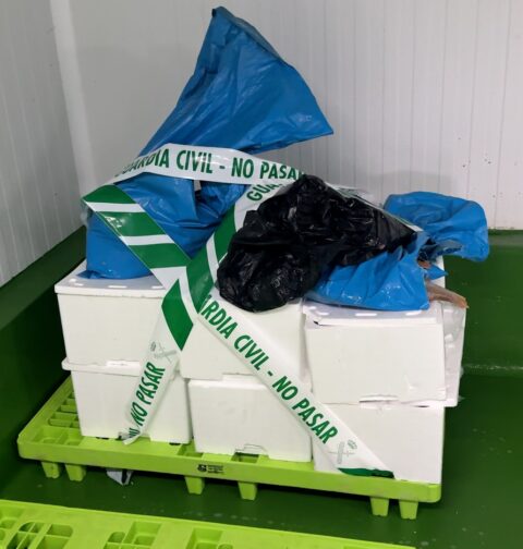 La Guardia Civil interviene 165kg de pescado y marisco ilegal en el puerto de Bueu