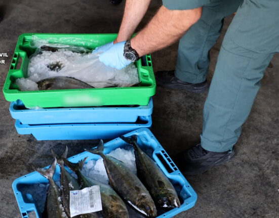 Detenidas dos personas por introducir pescado robado con residuos de medicamentos en el mercado