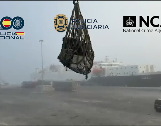 Intervenidas cinco toneladas de cocaína en un portacontenedores contaminado con el método de los "micos"