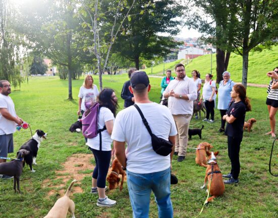 El BNG de Vigo rechaza los “corrales para perros” de Caballero y pide suspender la licitación en Barreiro