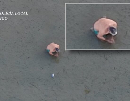 La Policía Local de Vigo detecta a tres furtivos con pulpos y casi 6 kilos de bivalvos en la costa