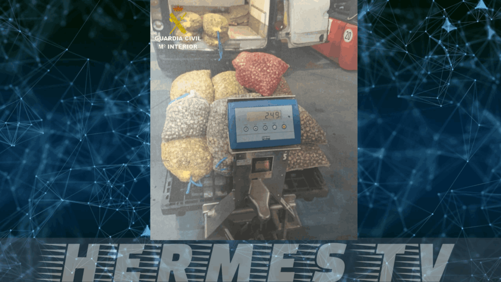 La Guardia Civil decomisa más de 430 kilos de marisco en O Grove transportados sin documentación que acredite su trazabilidad