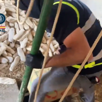 La Policía Nacional interviene más de 1.000 kilos de hachís en un zulo cubierto de barras de pan