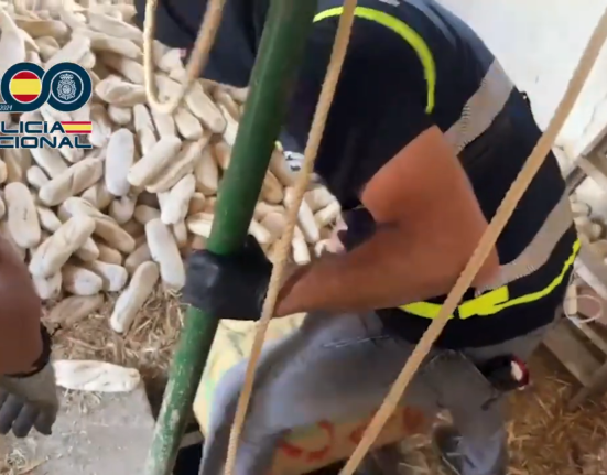 La Policía Nacional interviene más de 1.000 kilos de hachís en un zulo cubierto de barras de pan
