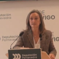 La Diputación cerrará el mandato comprometiendo 66,8 millones de euros para la ciudad de Vigo
